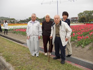 水滴がついたチューリップもなかなか良いですね